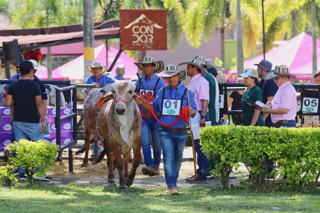 Feria de Ibagué