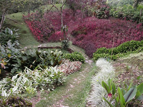 Jardín Botánico San Jorge